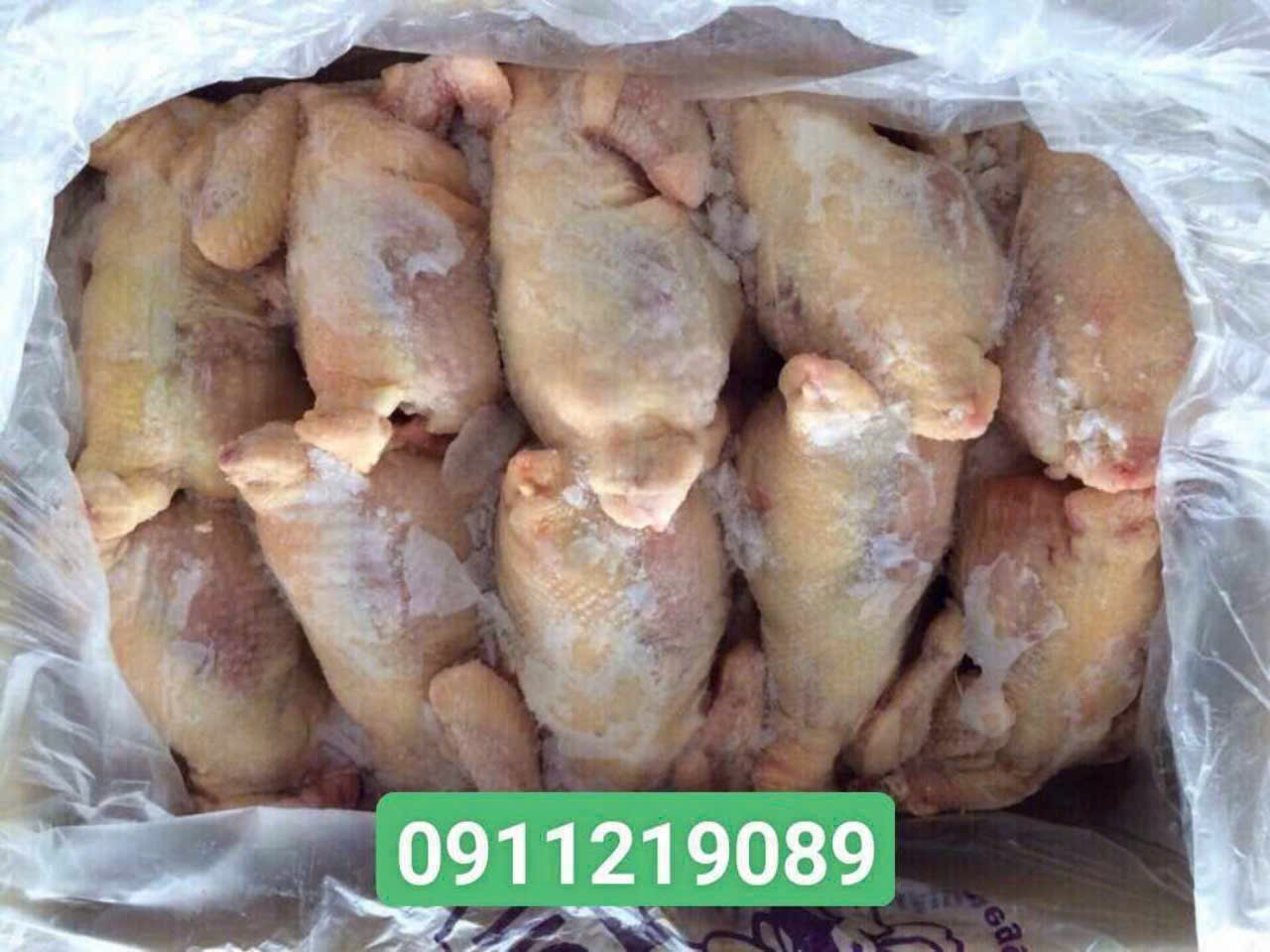 Cập nhật bảng giá gà nguyên con đông lạnh mới nhất hôm nay